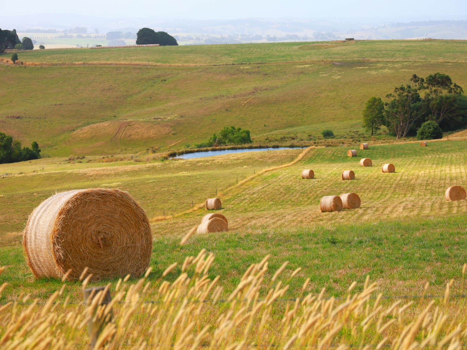 Estância Santa Maria da Serra — imagem 3